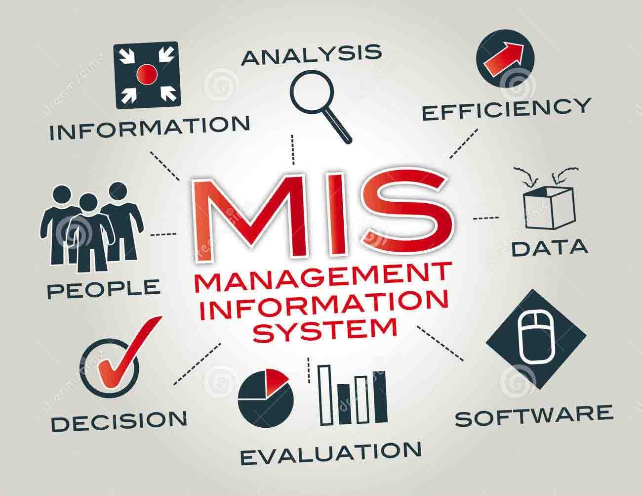 Yönetim Bilişim Sistemleri (Management Information Systems) Bölümünü Tanıyalım!